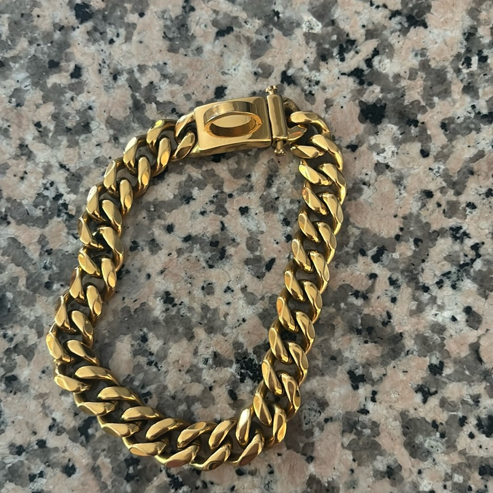 Stainless steel gold dog collar size XS